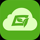 91免费观看网站